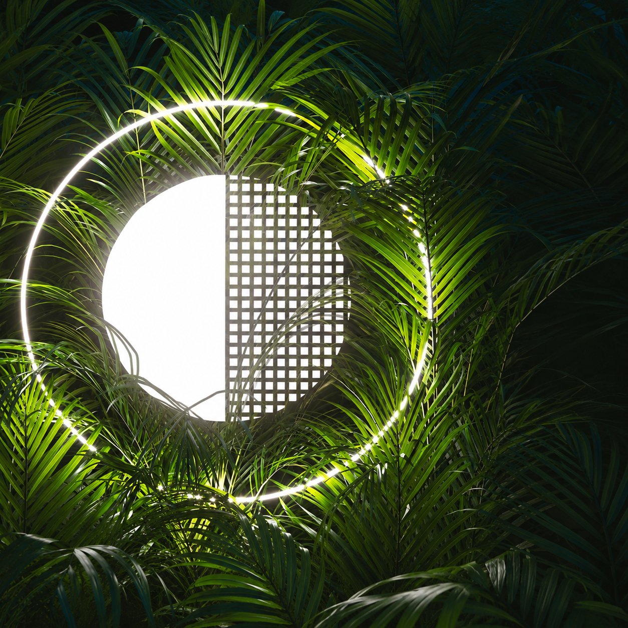 Follaje verde con un aro de luz